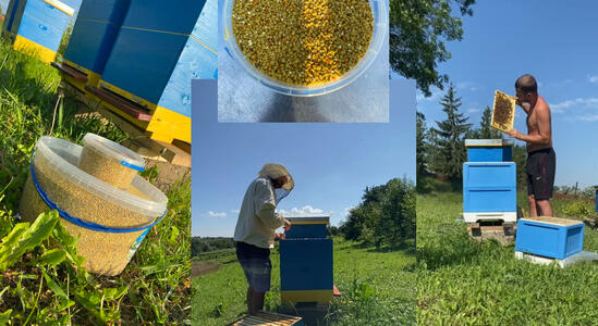 Відкриття нашого інтернет-магазину!