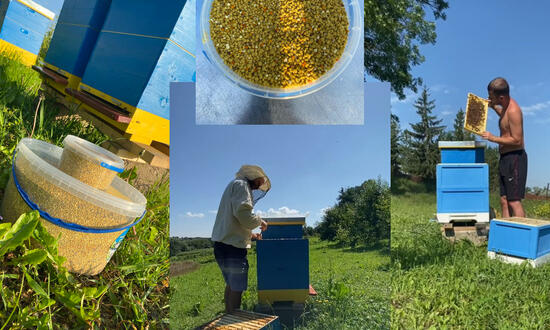Відкриття нашого інтернет-магазину!