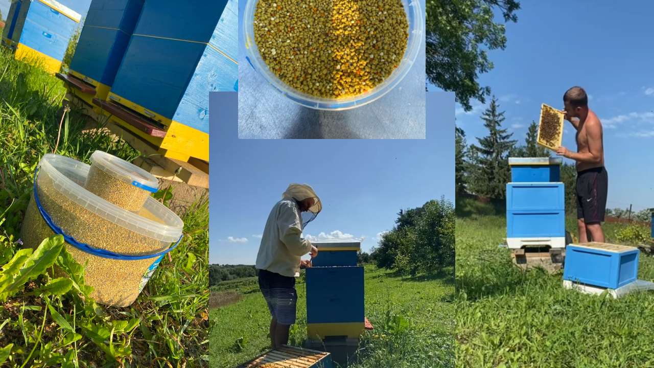 Пасіка Медович колаж